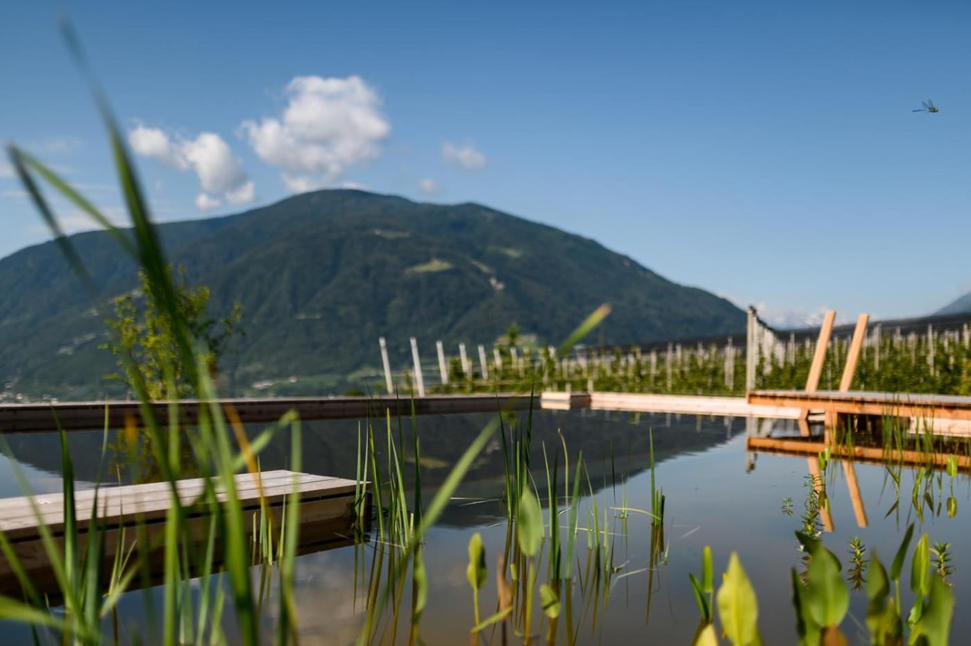 Pataunerhof Tirol Tirolo Exterior foto